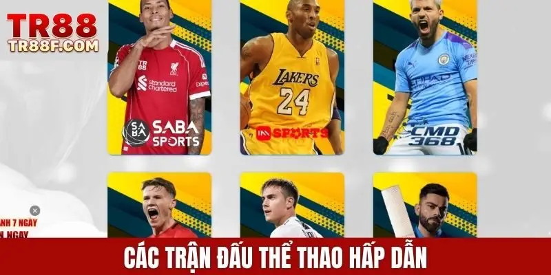 Các trận đấu thể thao hấp dẫn