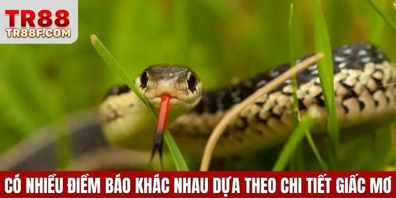 Có nhiều điềm báo khác nhau dựa theo chi tiết giấc mơ